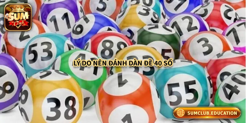 Dàn Đề 40 Số Là Gì? Cách Chơi Hiệu Quả Cho Người Mới Tại sao nên nuôi lô theo dàn đề 40 số